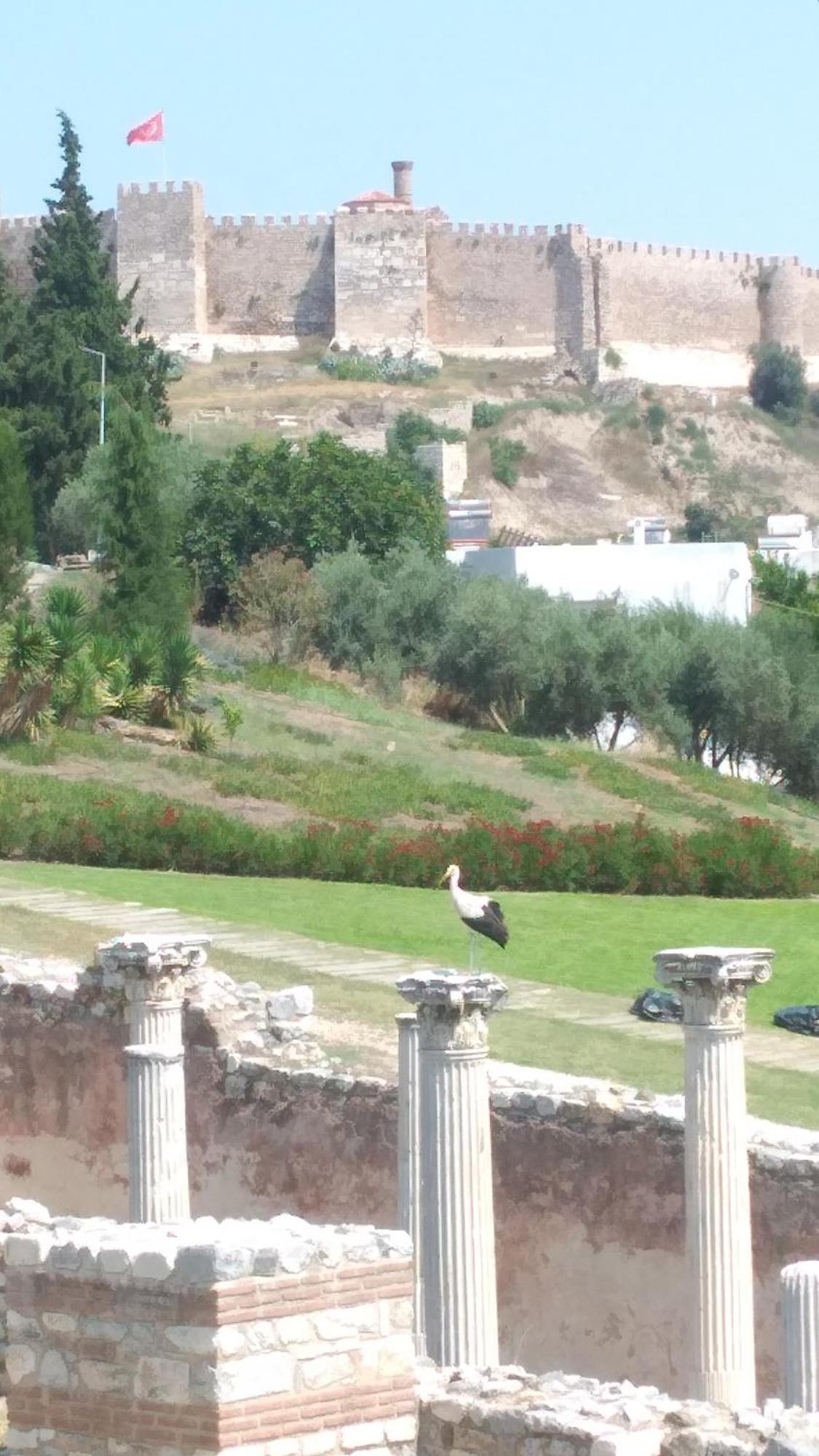 Ephesus Selcuk Castle View Suites Экстерьер фото